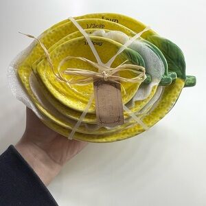 Arlington Design Lemon Measuring Cups